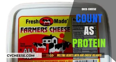 Is Cheese a Protein Source? Unraveling Its Nutritional Value