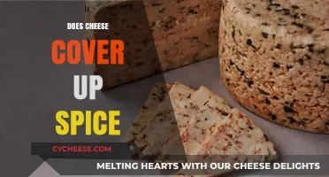 Can Cheese Tame the Heat? Exploring Its Spice-Covering Powers