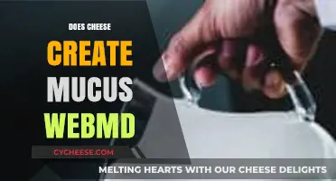 Does Cheese Cause Mucus? Debunking Myths with WebMD Insights