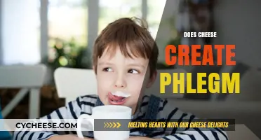 Does Cheese Cause Phlegm? Unraveling the Myth and Facts
