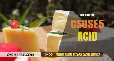 Does Cheese Cause Acid Reflux? Unraveling the Dairy Dilemma