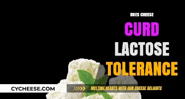 Cheese Curds and Lactose Intolerance: Can You Enjoy Both?