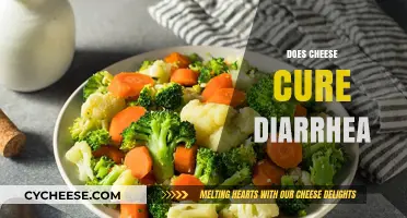Can Cheese Cure Diarrhea? Unraveling the Surprising Truth Behind the Myth