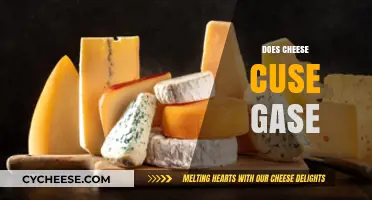 Does Cheese Cause Gas? Unraveling the Truth Behind Dairy Digestion