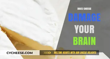 Cheese and Brain Health: Separating Fact from Fiction in Dietary Myths