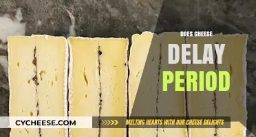 Can Cheese Affect Your Menstrual Cycle? Debunking Period Myths