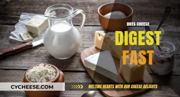 Does Cheese Digest Quickly? Unraveling the Truth About Cheese Digestion
