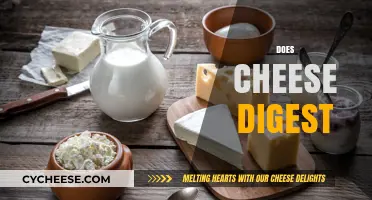 Does Cheese Digest? Unraveling the Truth About Cheese Digestion