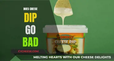 Cheese Dip: How Long Does it Last?
