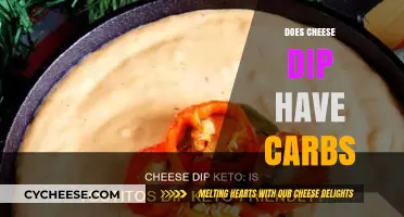 Cheese Dip: Carb Content and Healthy Alternatives
