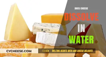Does Cheese Dissolve in Water? Unraveling the Dairy Mystery