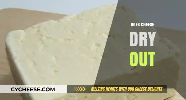Does Cheese Dry Out? Understanding Moisture Loss in Cheeses