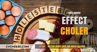Cheese and Cholesterol: Unraveling the Impact on Heart Health