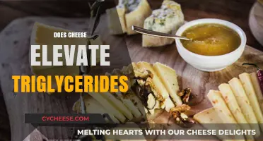 Cheese and Triglycerides: Unraveling the Impact on Your Cholesterol Levels