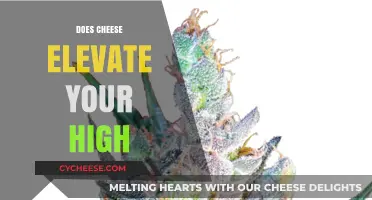 Cheese and Cannabis: Unraveling the Myth of an Elevated High