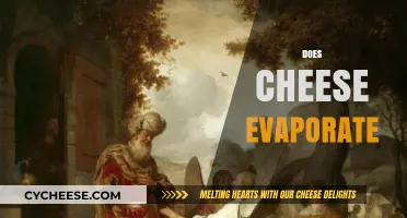 Does Cheese Evaporate? Unraveling the Myth Behind Dairy Disappearance