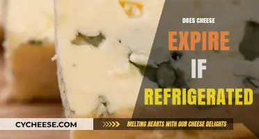 Does Refrigerated Cheese Expire? Shelf Life and Storage Tips