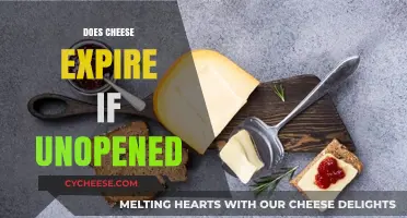 Does Unopened Cheese Expire? Shelf Life Secrets Revealed