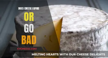 Cheese Expiration: Does Cheese Ever Go Bad?