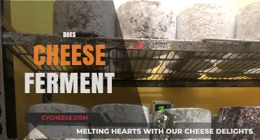 Does Cheese Ferment? Unraveling the Science Behind Cheese Aging