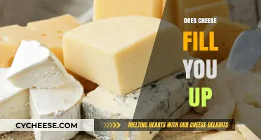 Does Cheese Fill You Up? Exploring Its Satiety and Nutritional Impact