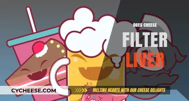 Does Cheese Filter Liver? Unraveling the Myth and Facts