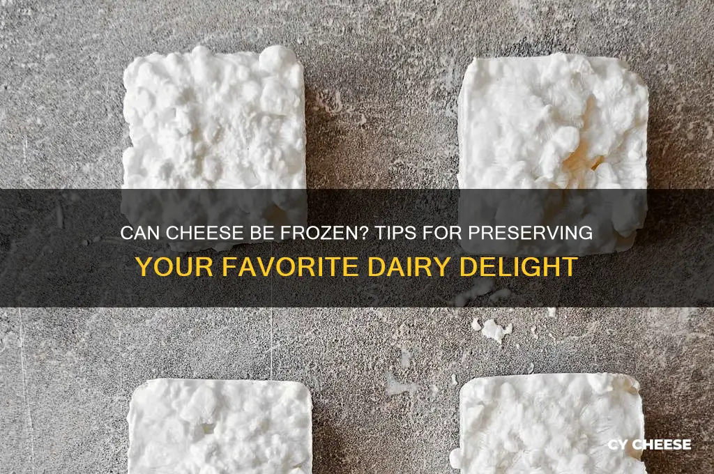 does cheese freeze ok