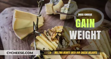 Does Cheese Cause Weight Gain? Unraveling the Dairy Dilemma
