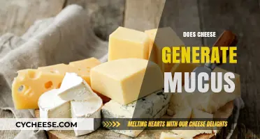 Does Cheese Cause Mucus? Debunking the Dairy Myth and Facts