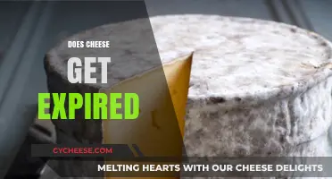 Cheese Expiry: How Long Does it Last?