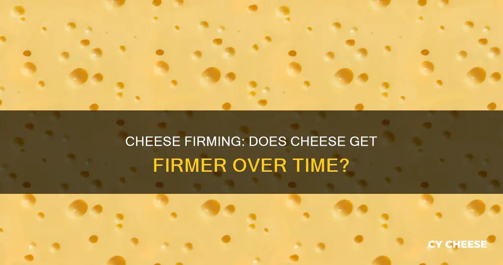 does cheese get firmer
