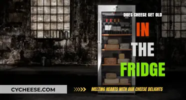 Cheese Longevity: Does it Expire in the Fridge?