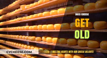 Cheese Aging: Does Cheese Ever Get Too Old?