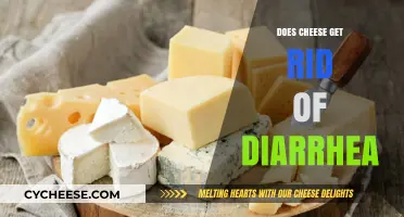 Cheese: Friend or Foe When You Have Diarrhea?