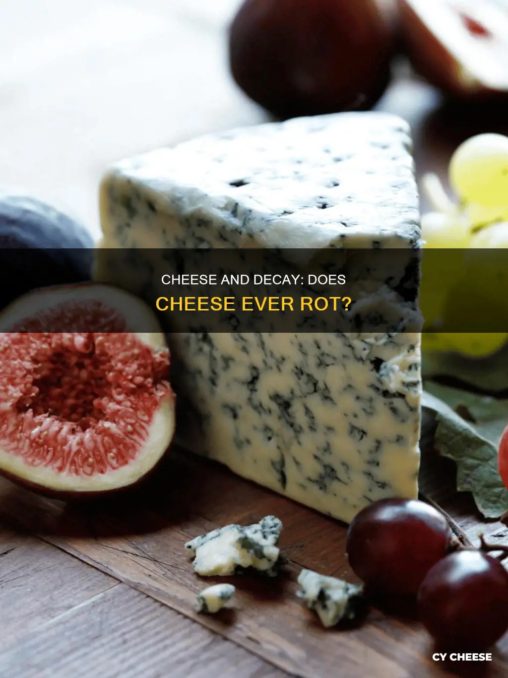 does cheese get rotten