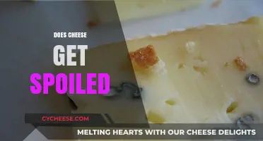 Cheese Spoilage: How Long Does it Last?