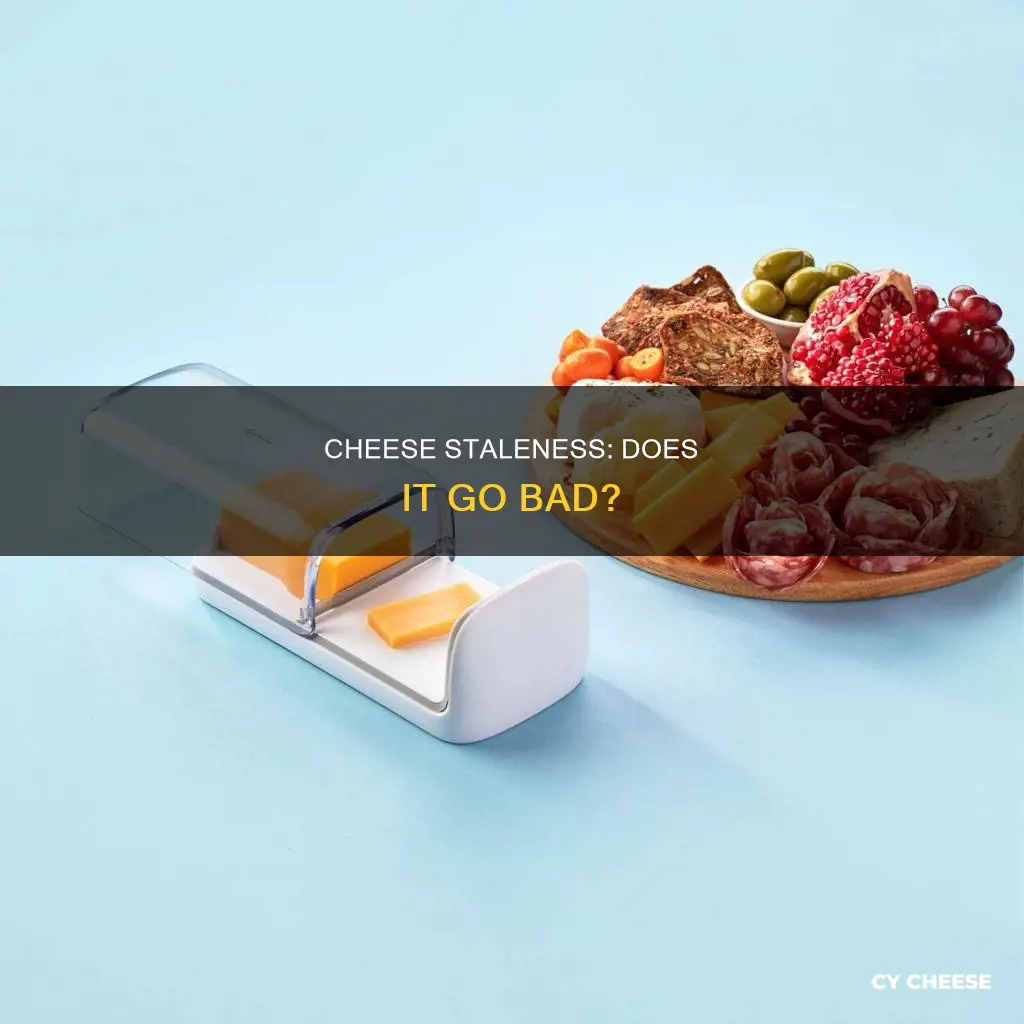 does cheese get stale