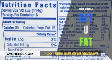 Cheese and Weight Gain: What's the Truth?