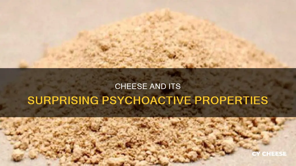 does cheese get you high