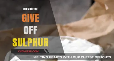 Does Cheese Emit Sulphur? Unraveling the Smelly Truth Behind Dairy