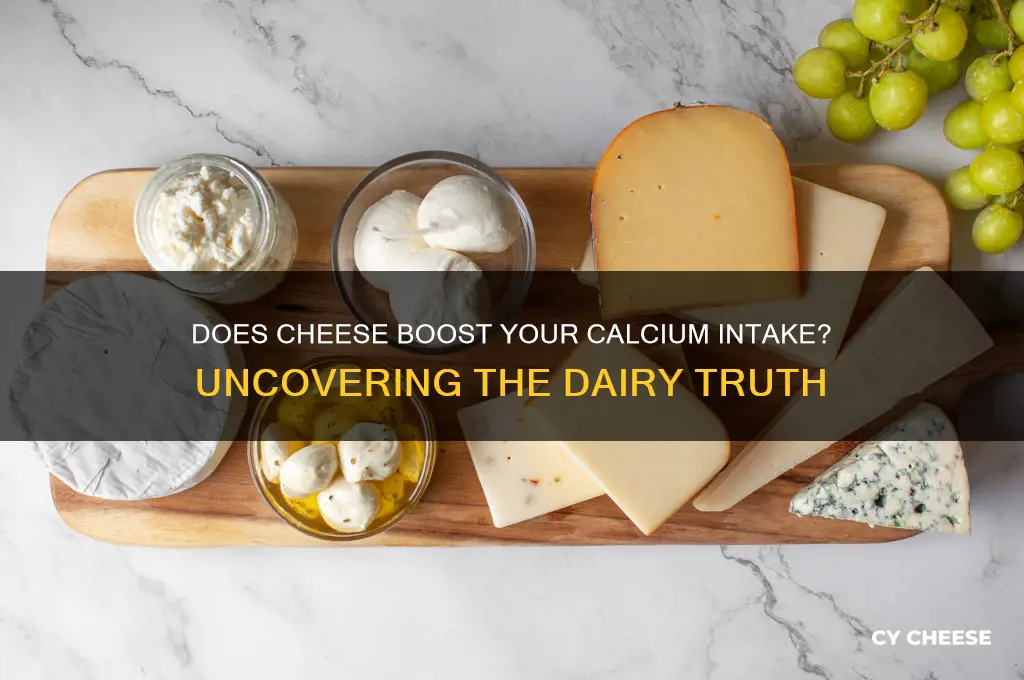does cheese give you calcium