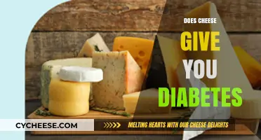 Cheese and Diabetes: Unraveling the Myth and Facts About Consumption
