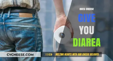 Does Cheese Cause Diarrhea? Unraveling the Dairy Dilemma