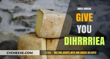 Does Cheese Cause Diarrhea? Unraveling the Dairy Dilemma