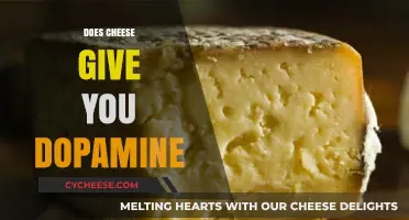 Cheese and Dopamine: Unraveling the Science Behind the Happy Hormone