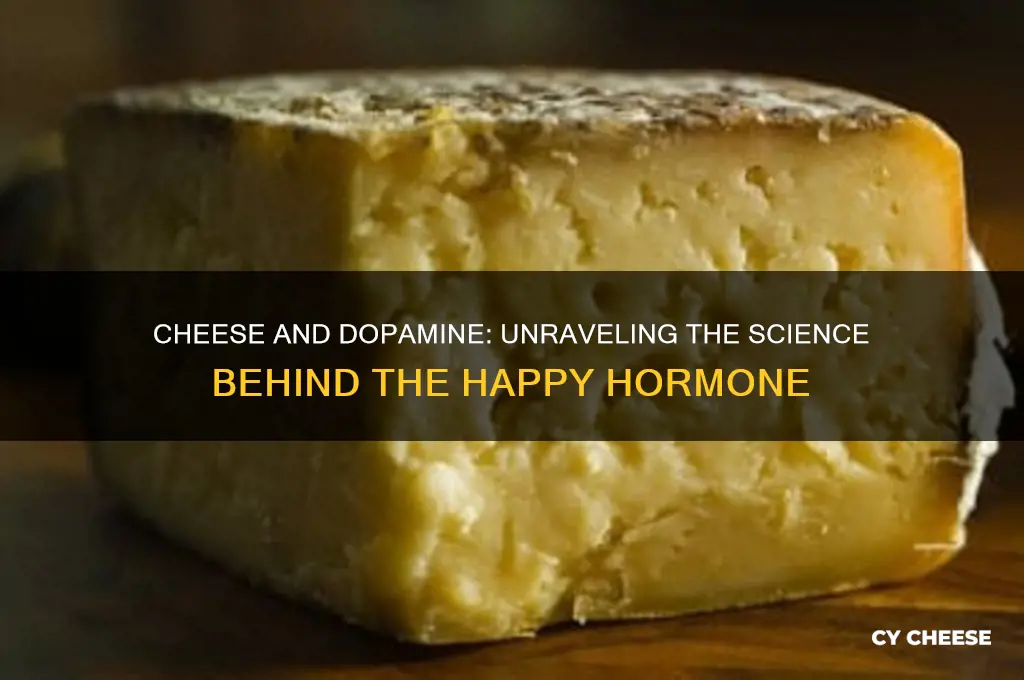 does cheese give you dopamine