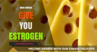 Does Cheese Boost Estrogen Levels? Unraveling the Dairy Hormone Myth