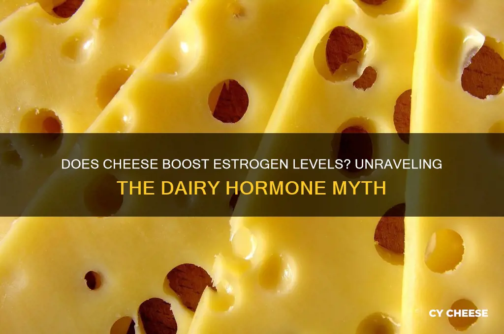 does cheese give you estrogen
