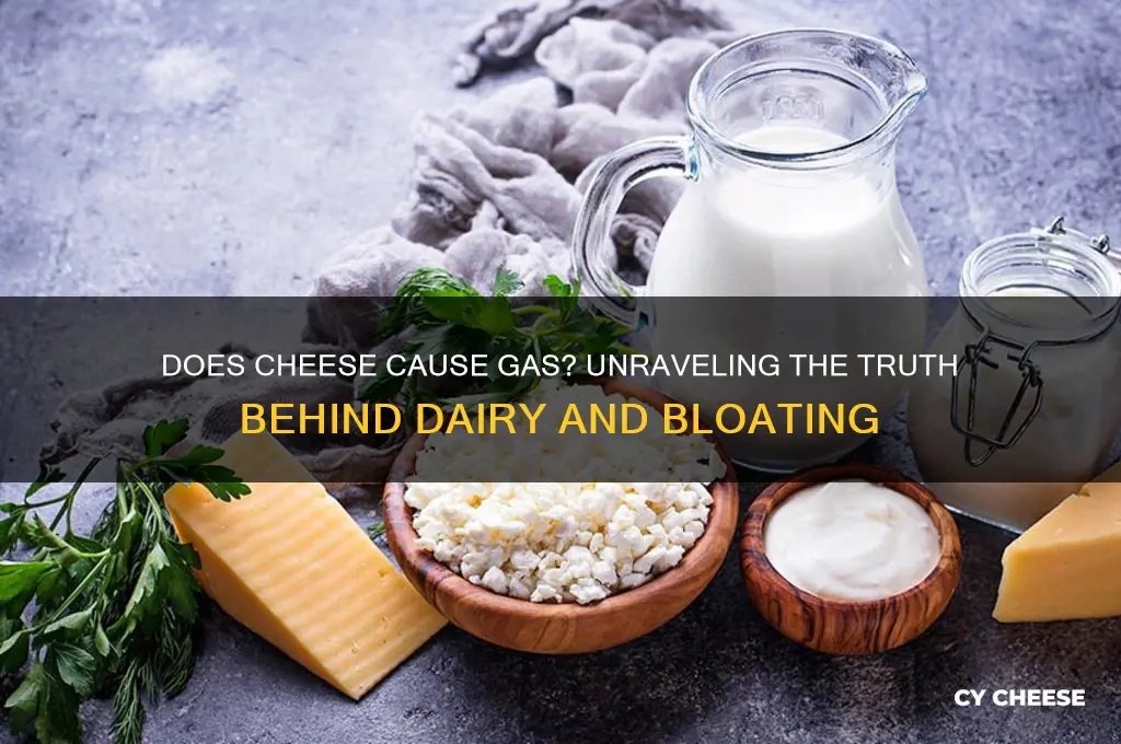 does cheese give you gas