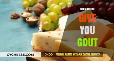 Does Cheese Trigger Gout? Unraveling the Dairy and Uric Acid Link